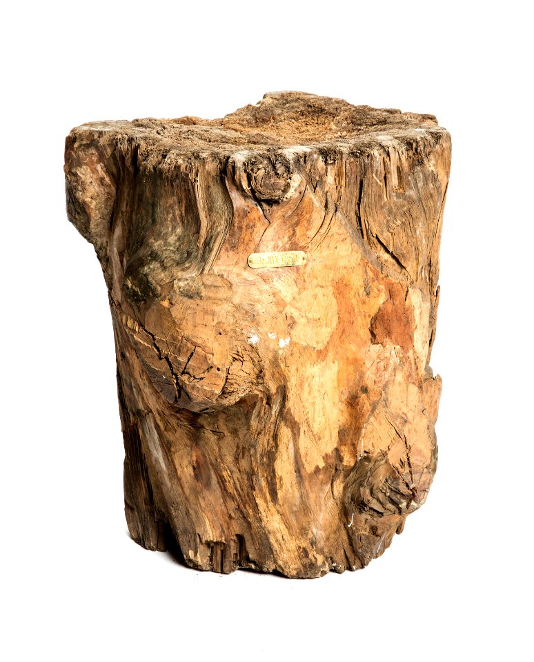 Huggkubb i björk - Hallwylska museet - 108493