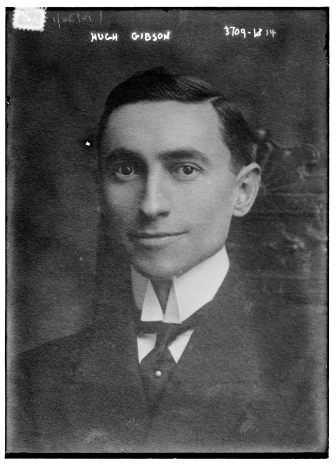 Hugh Gibson LCCN2014700631