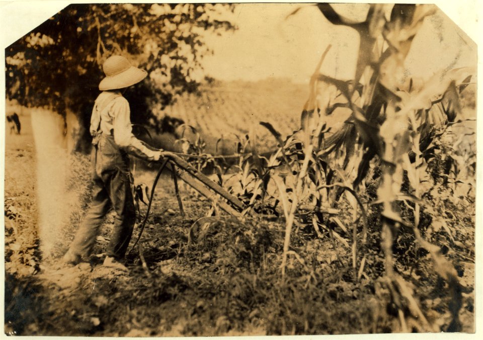 Hugh Oliphant, 12 years old driving a 'double-shovel.' LOC nclc.00544