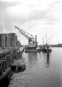 HUA-167649-Afbeelding van de overslag van hout voor de Houtbereidingsbedrijf van de N.S. (HBI) in de Wilhelminahaven te Dordrecht
