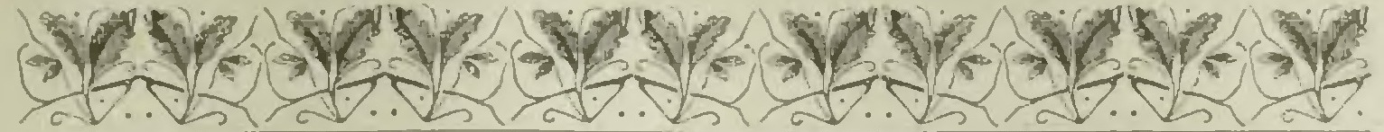 Huard - Labrador et Anticosti, 1897 (page 17 crop)