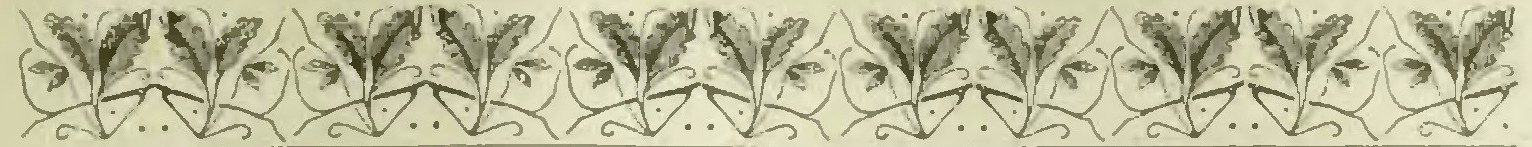 Huard - Labrador et Anticosti, 1897 (page 17 crop)