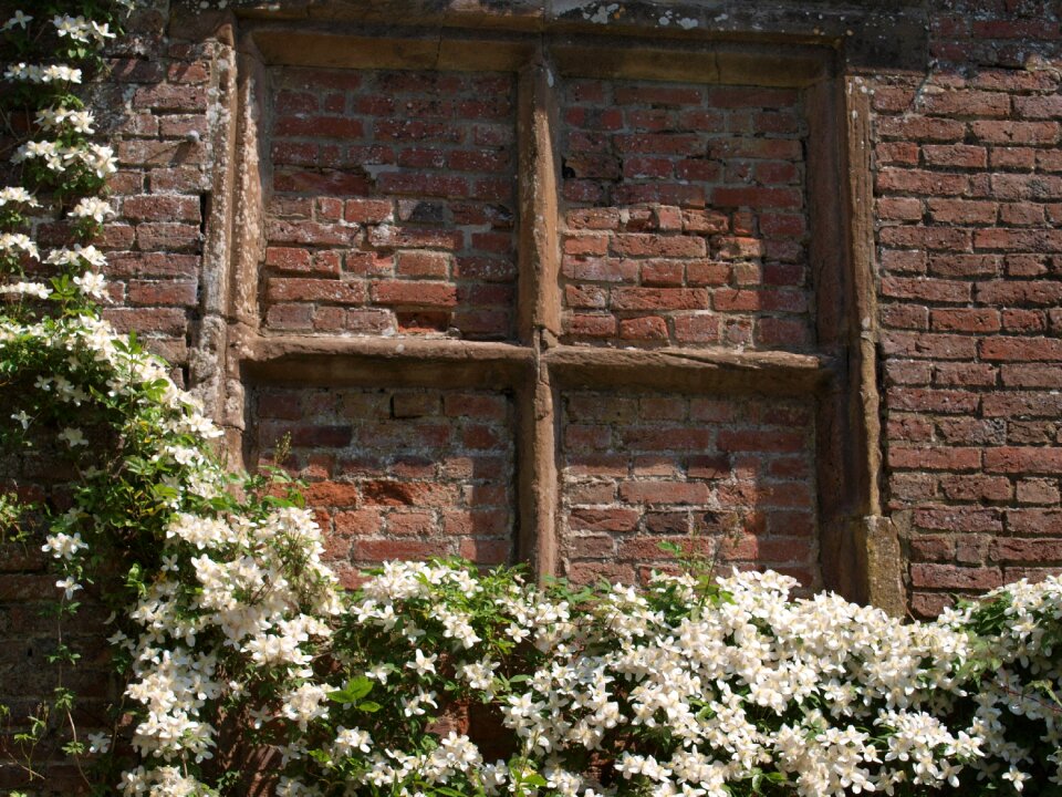 Window brick garden