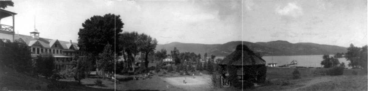 Hulett house and surroundings, Lake George, N.Y. LCCN96513390