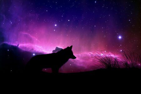 Design fantasy cosmic
