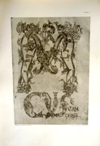 Humann Tafel 5