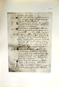 Humann Tafel 9