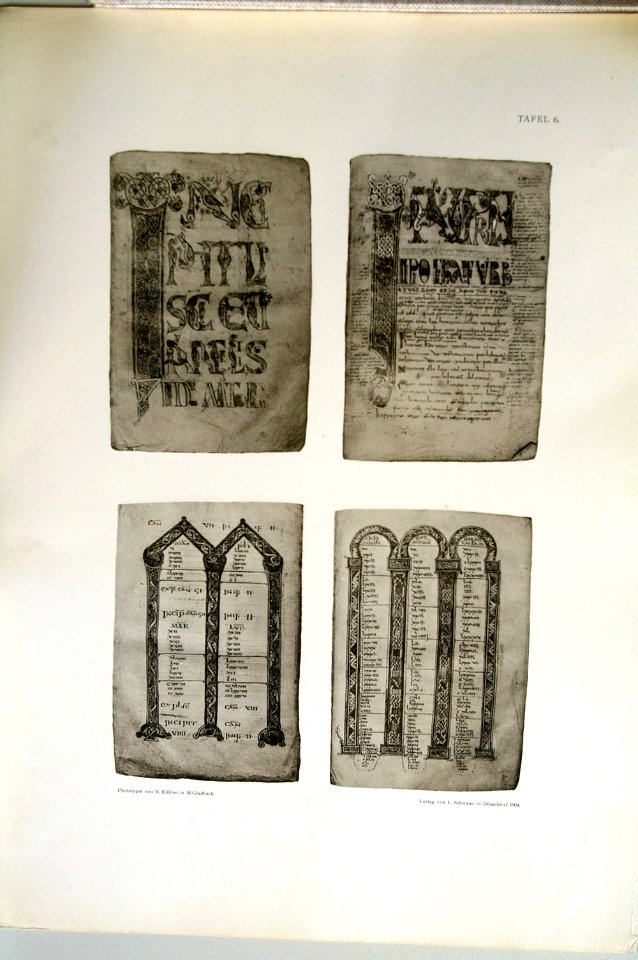 Humann Tafel 7