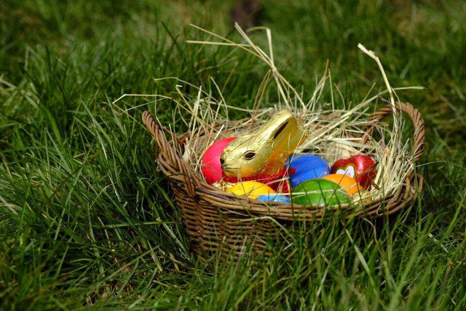 Easter nest nest easter