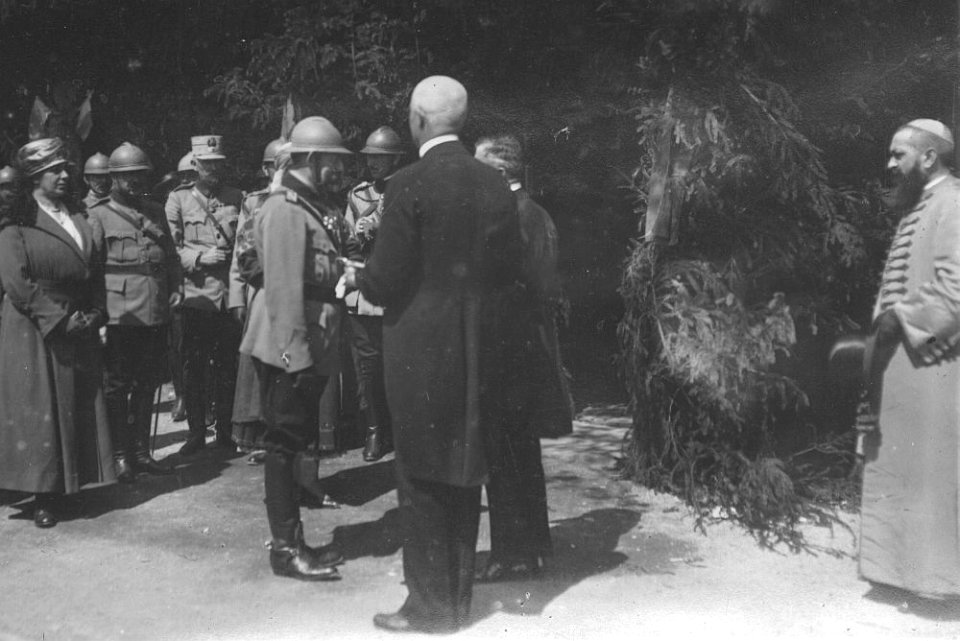 Hungarian-Romanian War of 1919 (National Military Museum Collection) 02