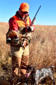 Hunter with dog and ring-necked pheasant in LaCreek National Wildlife Refuge, South Dakota, upland game hunting 02, 2020-11-11