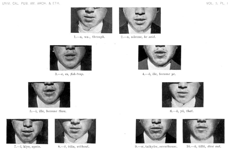Hupa phonology