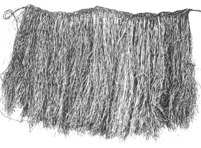 Hupa maple bark skirt