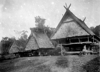 Hus och två risbodar i Lindoe. Byn Tomado, Lindoe, Paloe, Central-Celebes. Lindu, Sulawesi - SMVK - 000225