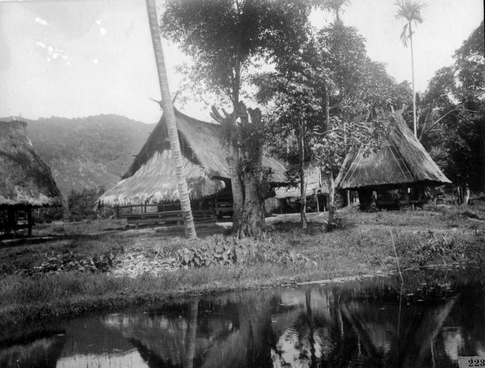 Hus vid kanten av sawahn (malajiska=risfält). Lokal, Toro, Central-Celebes - SMVK - 000223