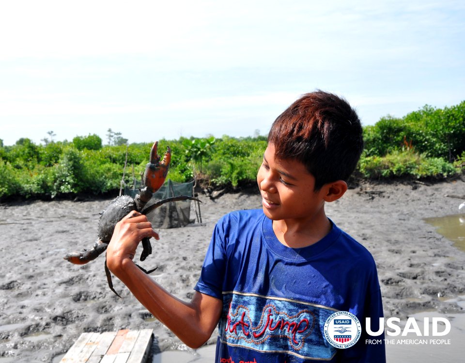 Hutan Bakau Menjadi Rumah bagi Kepiting, Udang, Siput dan Lainnya (35193798590)