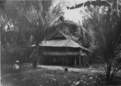 Hydda nära Bwool. Sulawesi. Indonesien - SMVK - 010670