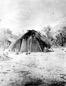 Hydda. Rio Parapiti. Bolivia - SMVK - 004947