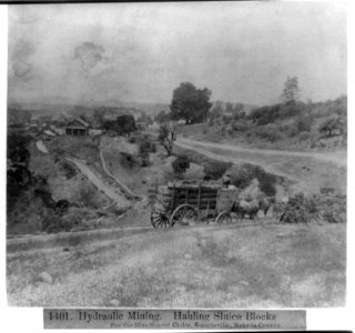 Hydraulic Mining - hauling Sluice Blocks, for the Blue Gravel Claim, Smartsville, Nevada County LCCN2002719818