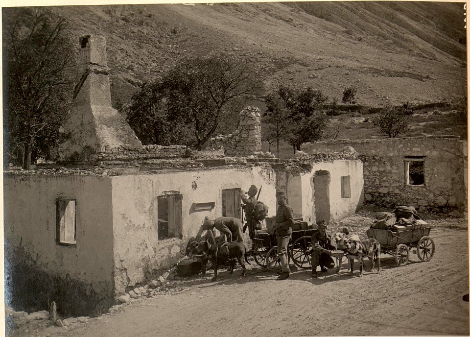 Hundekolonne bei der Tränke. Standpunkt der Aufnahme auf der Strasse von SOCA nach KAL. aufgenommen am 27. Juli 1916. (BildID 15476854)