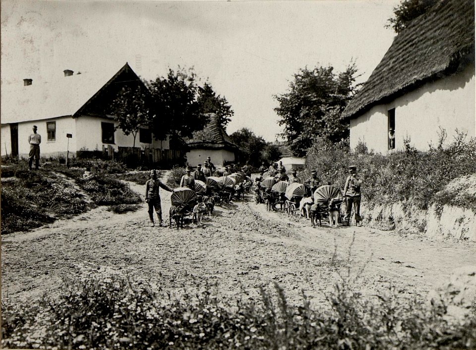 Hundetrain der 38.Honvedinfanteriedivision an der Strypa, 28.7.1916 (BildID 15542653)