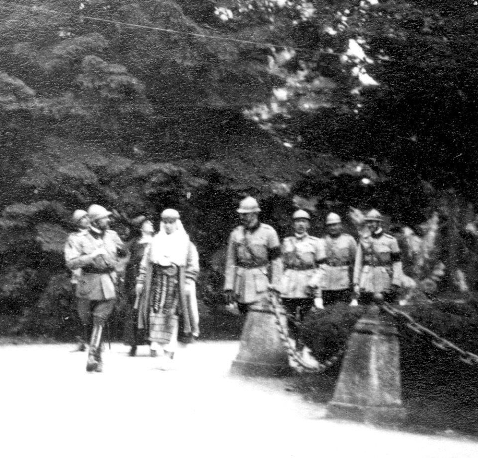 Hungarian-Romanian War of 1919 (National Military Museum Collection) 15