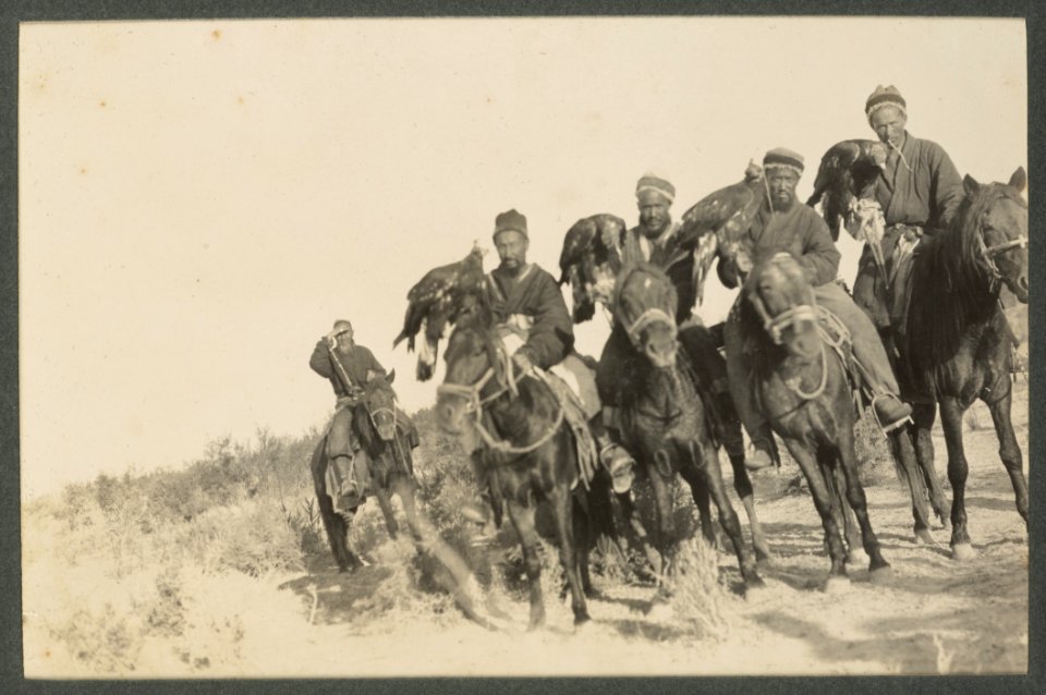 Hunting Eagles of Merkit