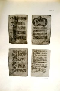 Humann Tafel 6