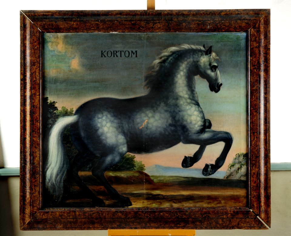 Hästporträtt Kortom - Skoklosters slott - 30975