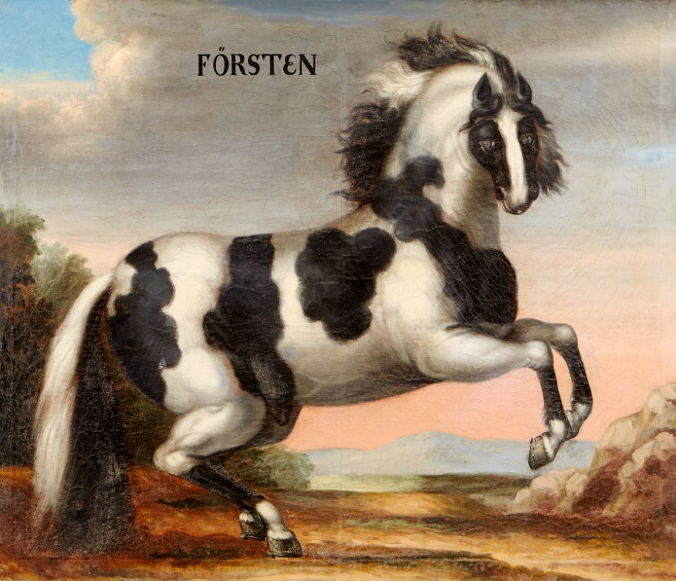 Hästporträtt från cirka 1650 - Skoklosters slott - 95247