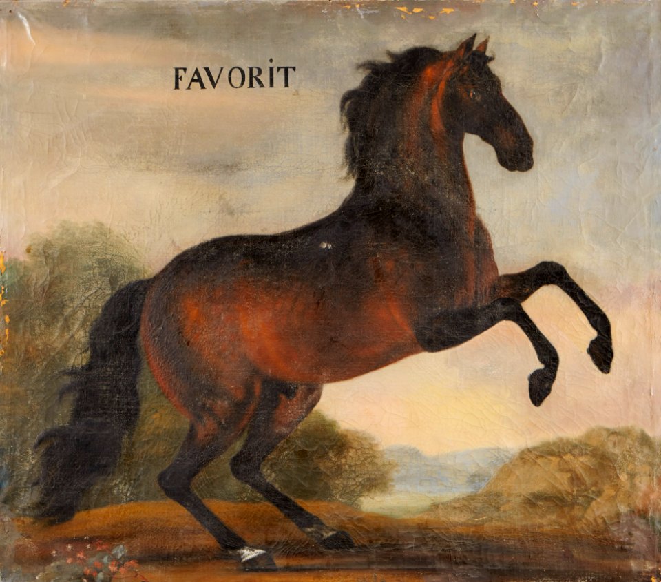 Hästporträtt från cirka 1650 - Skoklosters slott - 95254