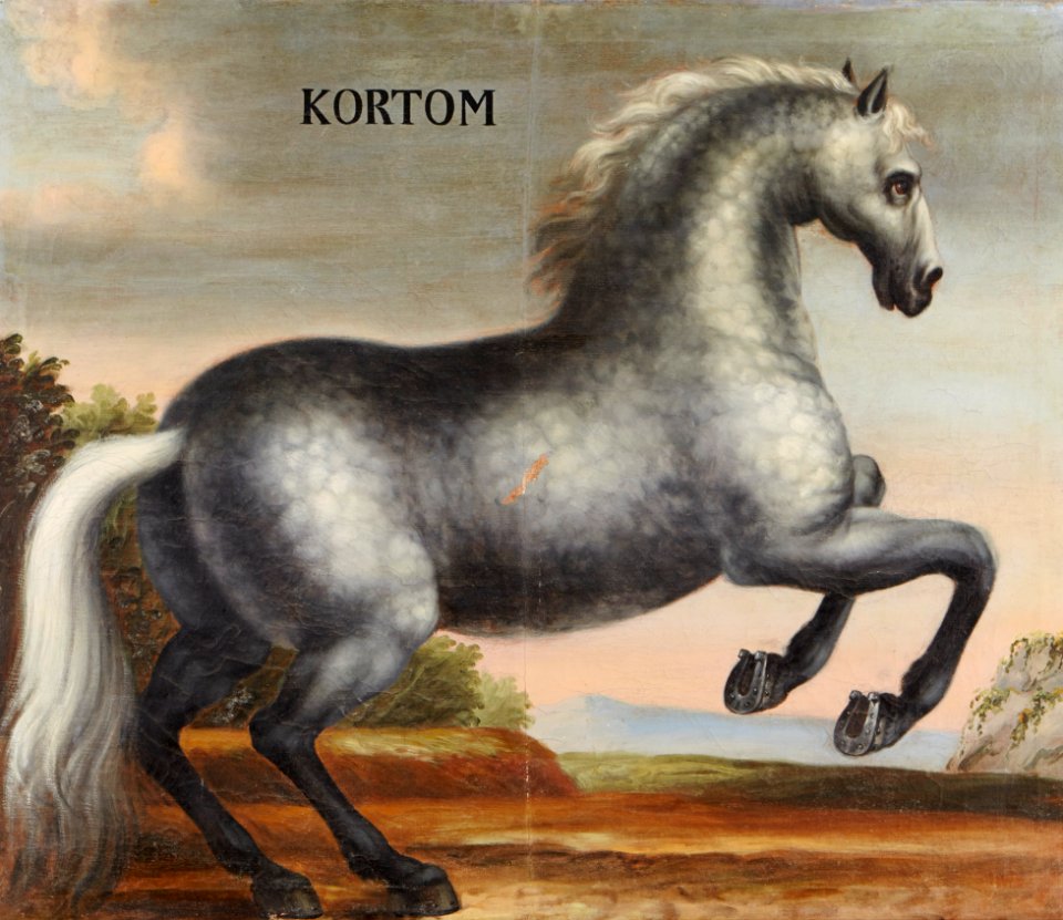 Hästporträtt från cirka 1650, på grå apelkastad häst - Skoklosters slott - 95250