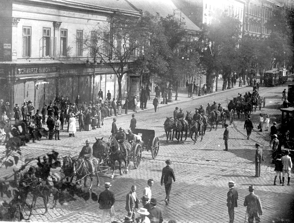Hungarian-Romanian War of 1919 (National Military Museum Collection) 37