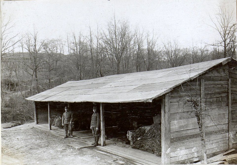 Häutesammelstelle Haidenschaft (BildID 15596510)