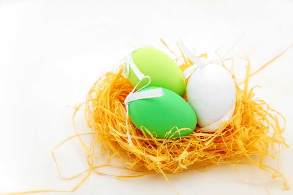 Easter nest easter map