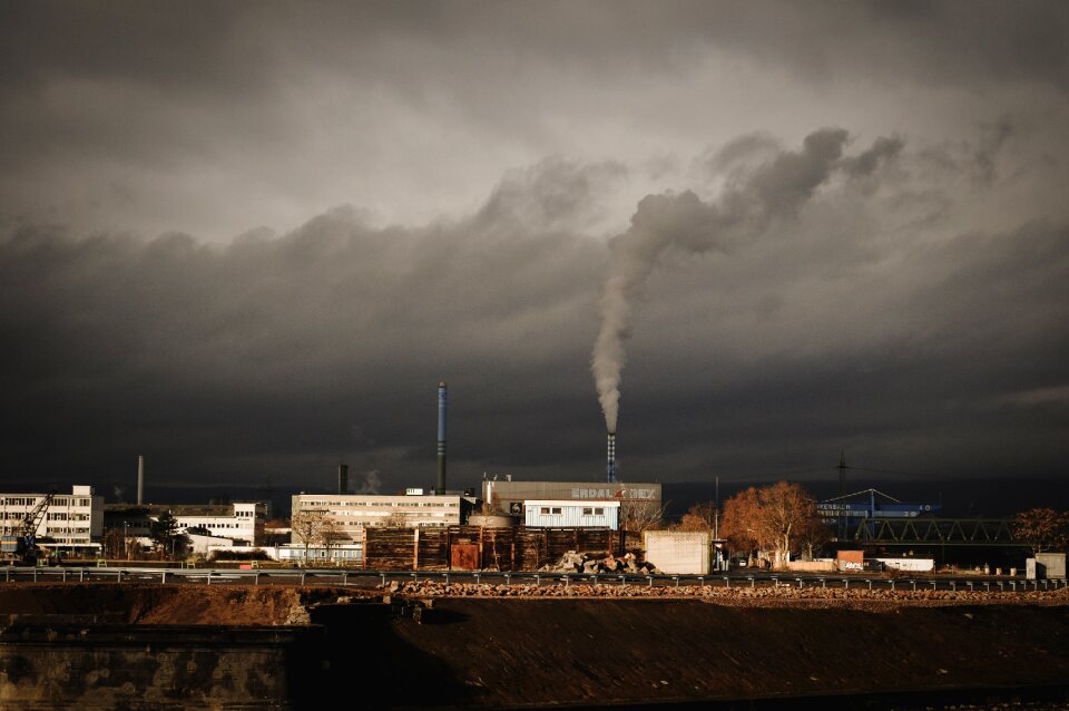 Chimney smoke plant