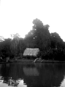 Hydda i odling hos medicinmannen Selimo. Rio Sambú, Darién, Panamá. Etnisk grupp, Emperá-Chocó - SMVK - 003977