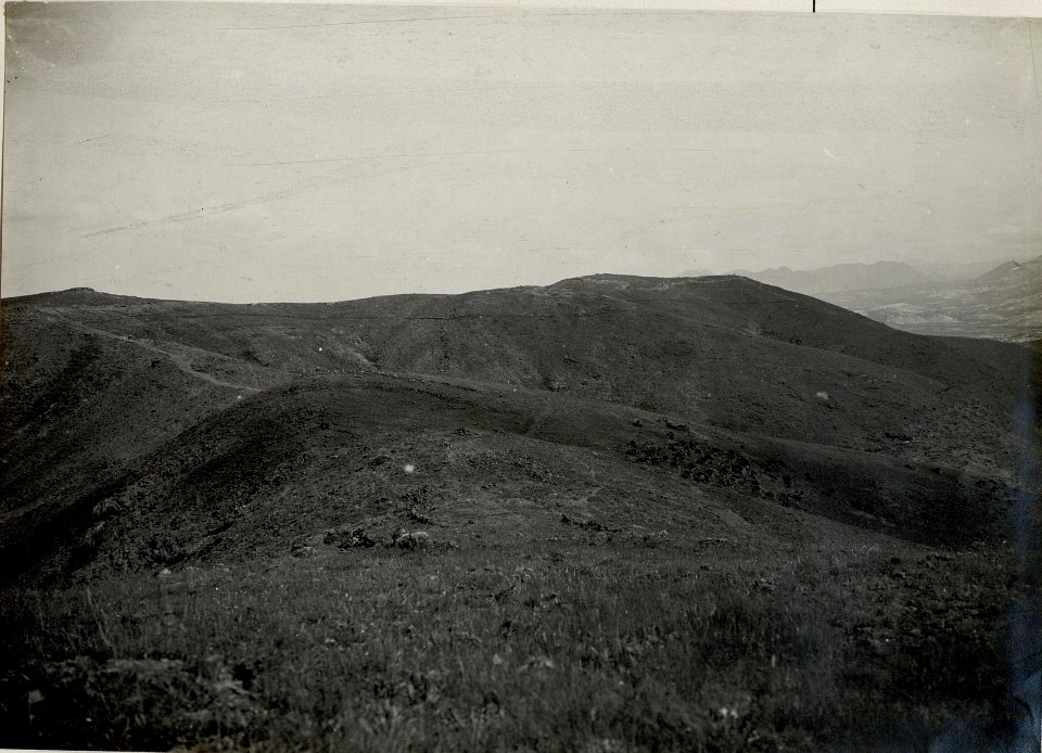 Höhen des Gr.u.Kl.Bardanjolt und Vorfeld des Gr.Bardanjolt ¤ 316. (BildID 15534728)