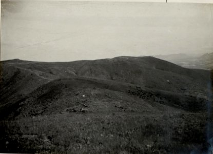 Höhen des Gr.u.Kl.Bardanjolt und Vorfeld des Gr.Bardanjolt ¤ 316. (BildID 15534728)