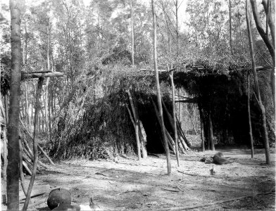 Hydda. I förgrunden syns ett kärl. Bolivianska Chaco. Rio Pilcomayo, Gran Chaco - SMVK - 004801