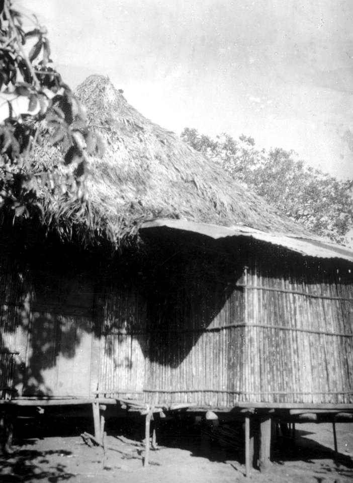 Hydda. Pearl Islands. Panama - SMVK - 004149