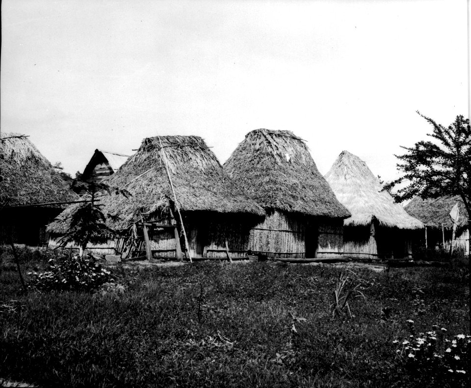 Hyddor. Sydamerika, La Boca, Farfang. Panama - SMVK - 002338