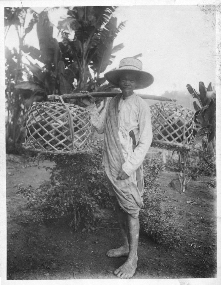 Hönsförsäljare Lokal, Menado, Bolaang Mongondou, Nordcelebes. Sulawesi, Menado. Indonesien - SMVK - 000161
