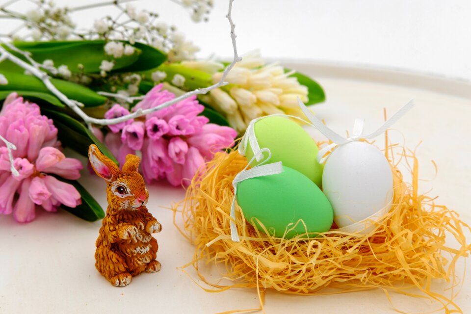 Easter nest easter hare photo