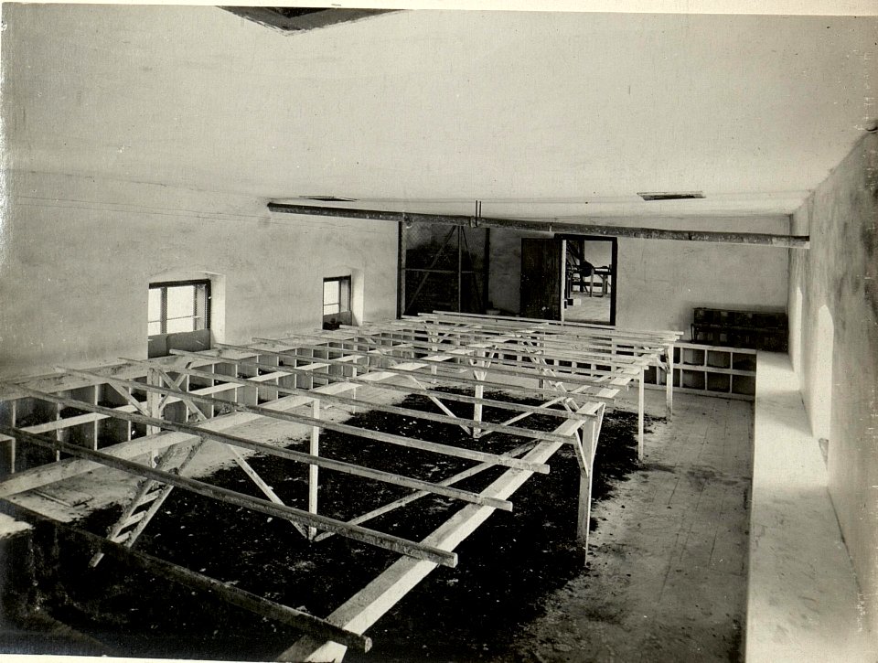 Hühnerhof in LIND. Aufgenommen am 16. Juli 1916. (BildID 15477884)