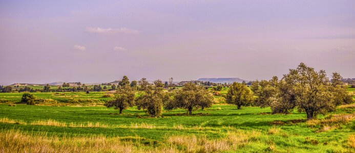 Rural panoramic landscape photo