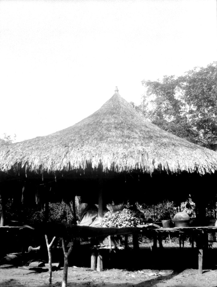 Hydda med hushatt. Rio Sambú, Darién, Panamá. empera-choco. Panama - SMVK - 004073