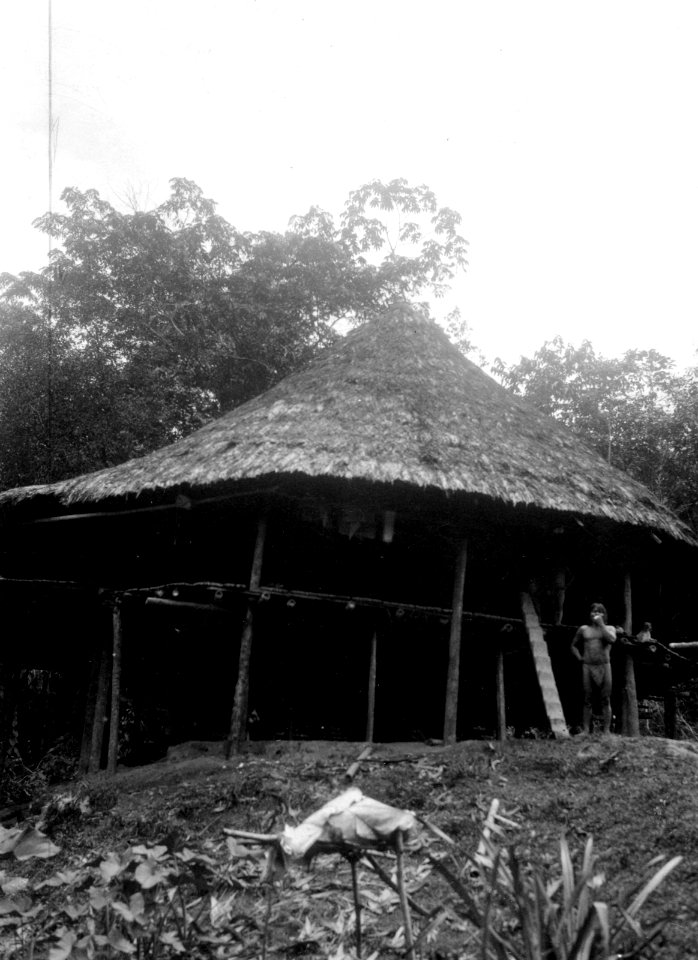 Hydda. Rio Pasutó, Chocó, Colombia - SMVK - 004341