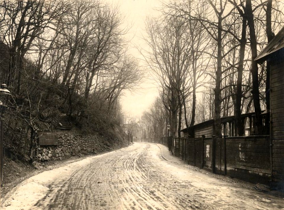 Hälsovägen före utvidgningen. april 1901