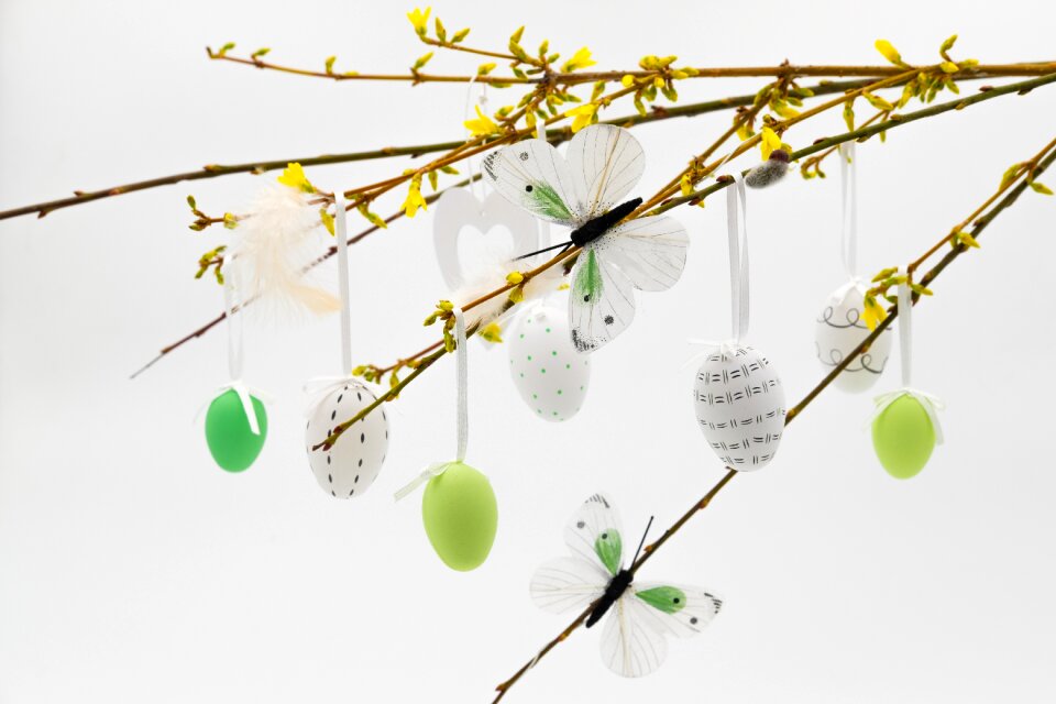 Easter tree easter bush spring